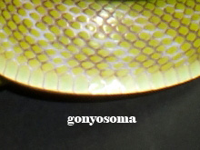 Gonyosoma